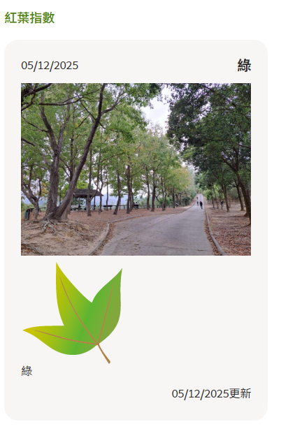 大棠紅葉季開鑼！漁護署公布「極短觀賞期」預計7萬人迫爆 幾時去最紅？（附交通方法）