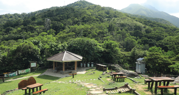 大棠紅葉季開鑼!漁護署公布「極短觀賞期」預計7萬人迫爆 幾時去最紅?(附交通方法)