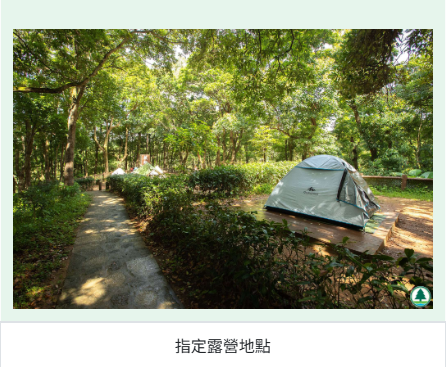 大棠紅葉季開鑼！漁護署公布「極短觀賞期」預計7萬人迫爆 幾時去最紅？（附交通方法）