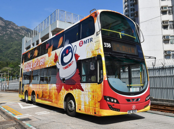 大棠紅葉季開鑼!漁護署公布「極短觀賞期」預計7萬人迫爆 幾時去最紅?(附交通方法)