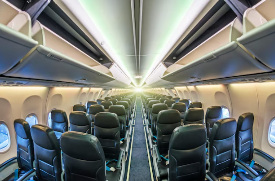 圖片來源:freepik 圖片來源:freepik