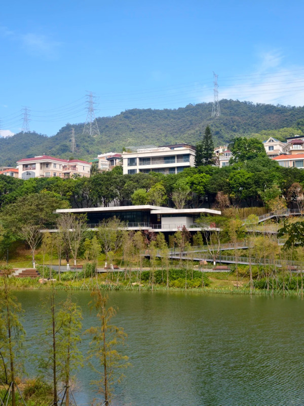 深圳羅湖新地標金湖公園如隱世仙境!地鐵直達4大打卡位靚似歐洲