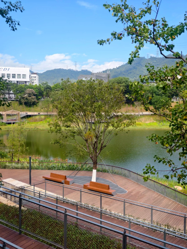 深圳羅湖新地標金湖公園如隱世仙境!地鐵直達4大打卡位靚似歐洲