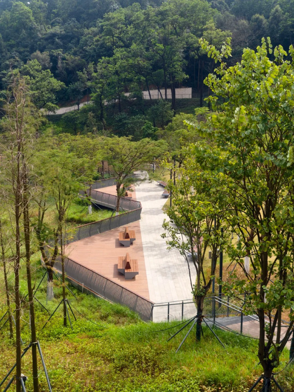 深圳羅湖新地標金湖公園如隱世仙境!地鐵直達4大打卡位靚似歐洲