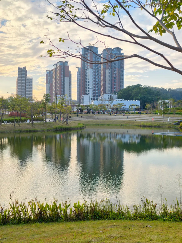 深圳羅湖新地標金湖公園如隱世仙境!地鐵直達4大打卡位靚似歐洲