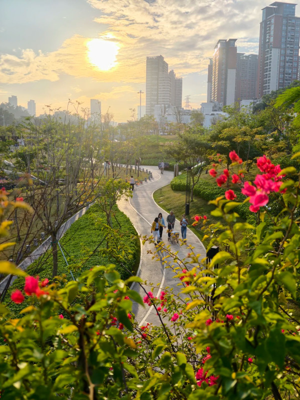 深圳羅湖新地標金湖公園如隱世仙境!地鐵直達4大打卡位靚似歐洲