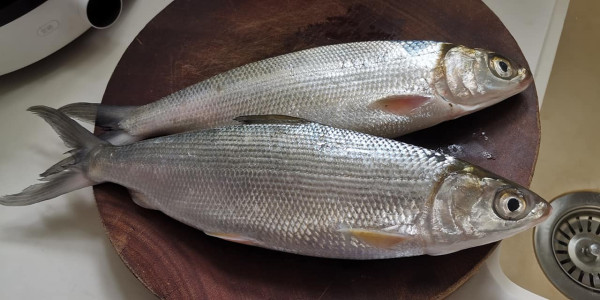 健康長壽秘訣︱101歲人瑞長壽祕訣曝光 愛吃2種肉+4大生活習慣養成「不老」身心！