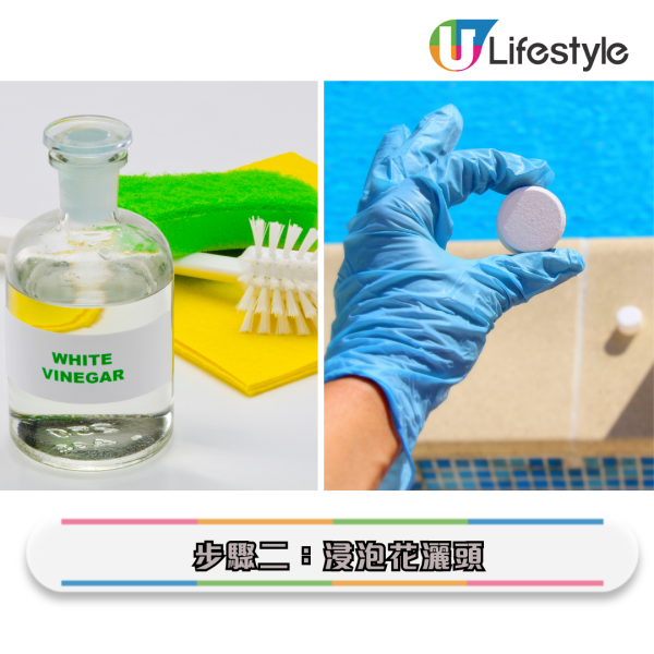 花灑清潔|花灑頭含菌量多過馬桶!積滿千年水垢 家務專家實測5步徹底除垢