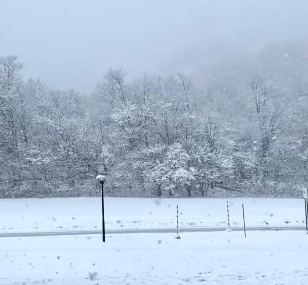 寒冬必備!日媒熱推一世人只揀這件TNF羽絨!保暖防風神物著一件頂三件!襯衫一流