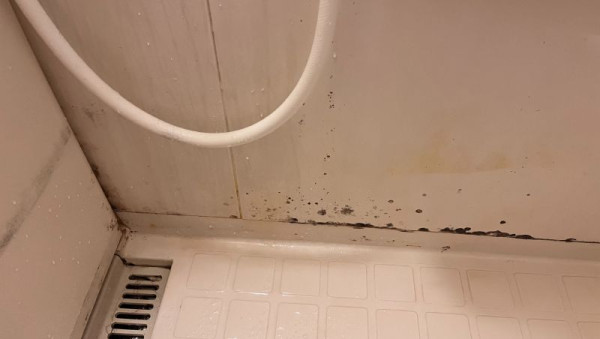 浴室寶「只開抽氣」無用？沖涼後做漏「這一步」 浴室隨時發霉生菇