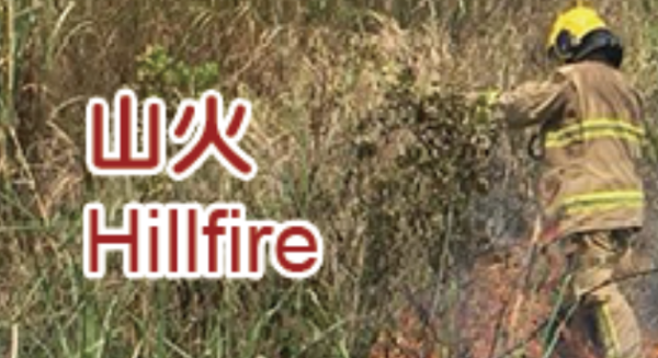 飛鵝山變「煙頭山」義工單日撿逾2000支煙蒂！漁護署：今年發出32張涉事罰單