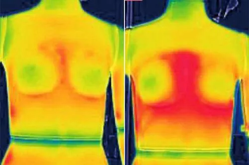 (圖片: 發熱內衣商官方圖片) U記發熱衣輸咗?日媒LDK實測點評長袖短袖發熱衣 榜單冠軍「保暖王者」勝HEATTECH