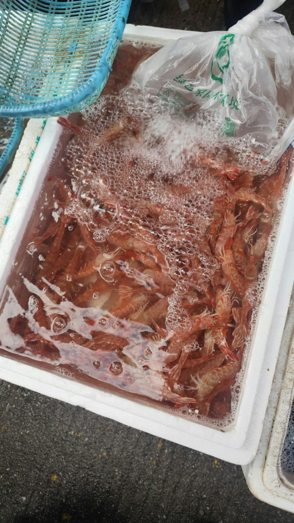 港人蓮塘街市買赤米蝦讚1服務平靚正 網民熱議：¥75/斤算唔算抵？ 附北上帶海產回港規定 