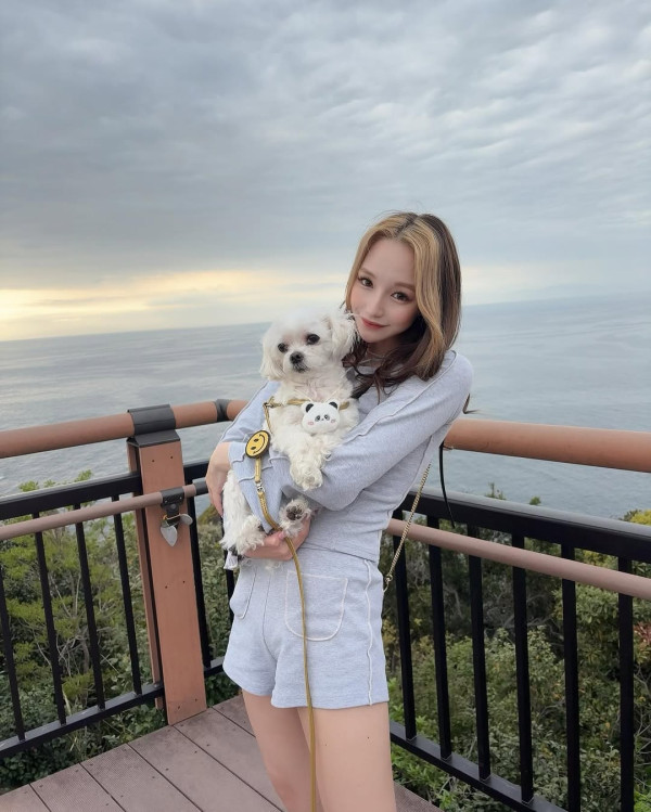 不良一族尋愛記線上看|11位成員IG起底+Netflix集數更新時間!女成員Baby超美惡女爆紅