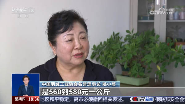 圖片來源:央視網 圖片來源:央視網