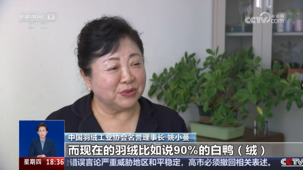 圖片來源:央視網 圖片來源:央視網