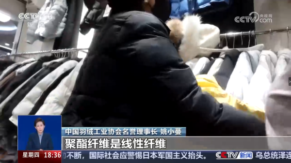 圖片來源:央視網 圖片來源:央視網