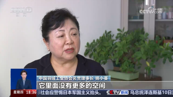 圖片來源:央視網 圖片來源:央視網