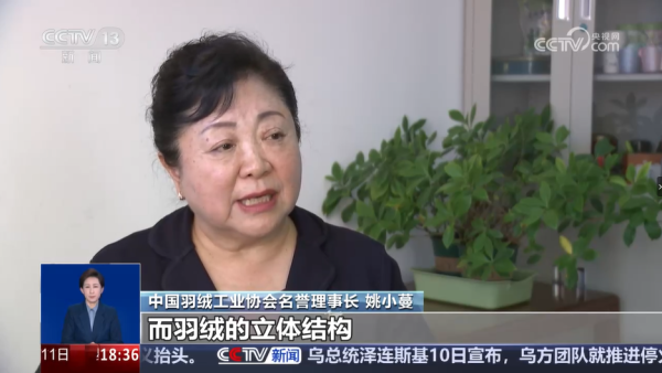 圖片來源:央視網 圖片來源:央視網