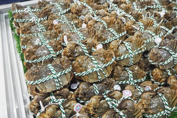 (圖片來源︰HKET)