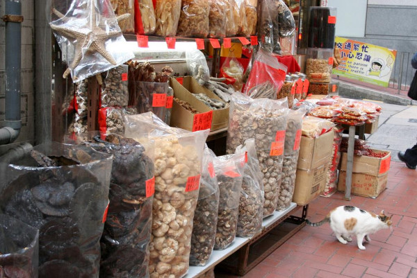 (圖片來源︰HKET)