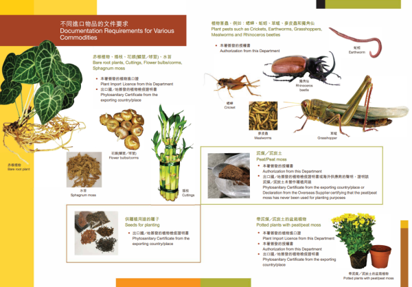 (圖片來源︰漁護署《植物、植物病蟲害及泥土的進口管制》小冊子)
