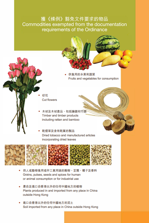 (圖片來源︰漁護署《植物、植物病蟲害及泥土的進口管制》小冊子)