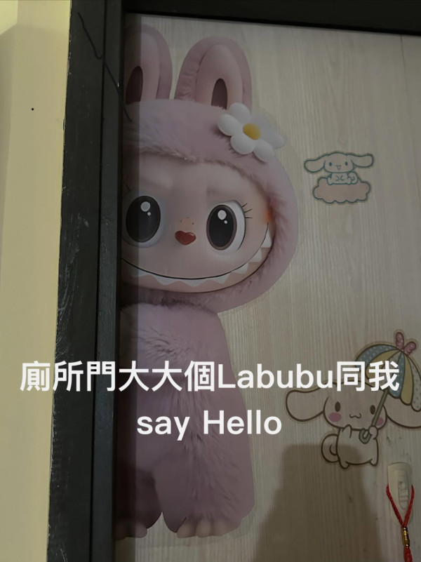 母親網購「拼上腦」變身藝術家 滿屋災難級作品 網民反讚溫馨「有媽咪既回憶」