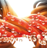 照片來源:香港Uniqlo 官方網站 照片來源:香港Uniqlo 官方網站