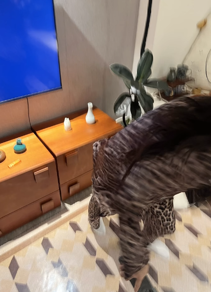 聖誕Party必玩｜9大「氣氛High爆」遊戲推介：簡單易玩笑到斷氣！輸咗懲罰超地獄