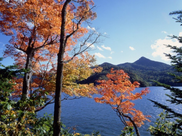 2026日本人氣溫泉排行榜出爐!草津溫泉三連霸!附當地人推薦Top 5隱世秘湯