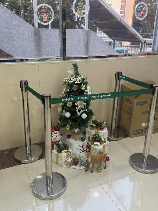 全港「最寒酸聖誕樹」被圍攻！圍欄高過樹慘過屋邨　商場知衰「急補鑊」結局超爆笑