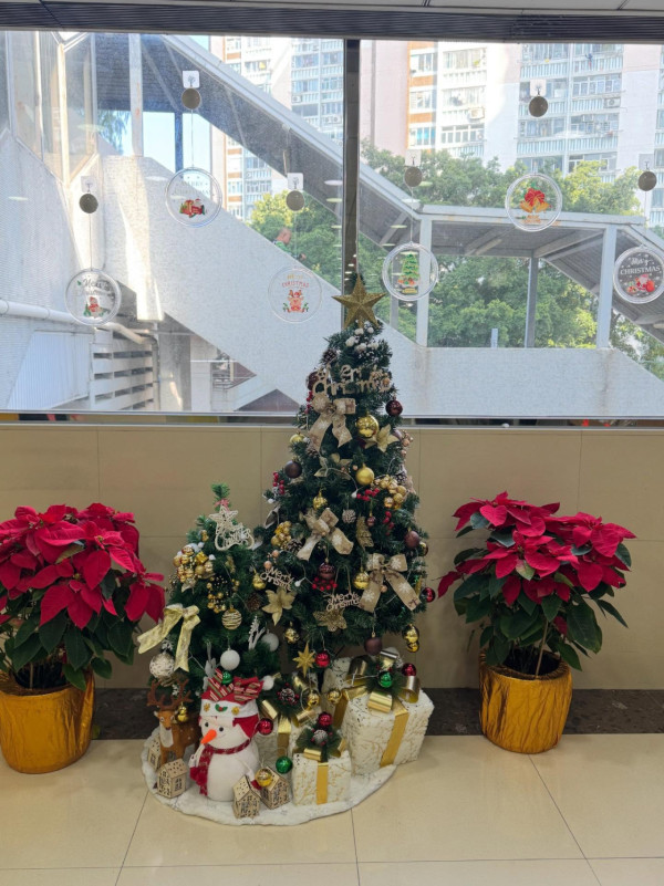 全港「最寒酸聖誕樹」被圍攻!圍欄高過樹慘過屋邨 商場知衰「急補鑊」結局超爆笑