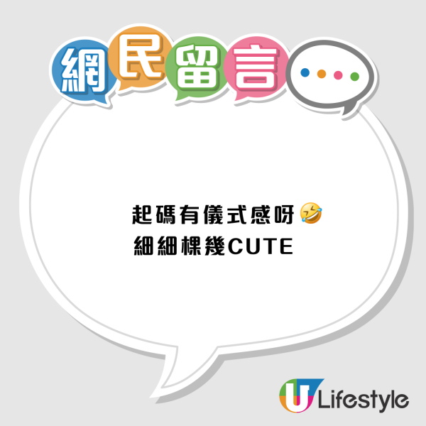 全港「最寒酸聖誕樹」被圍攻！圍欄高過樹慘過屋邨　商場知衰「急補鑊」結局超爆笑