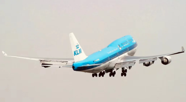 照片來源：小紅書@Air Sheep