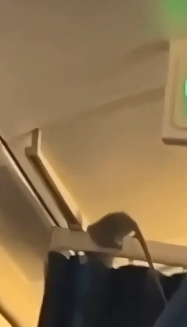 照片來源：X@Fahadnaimb