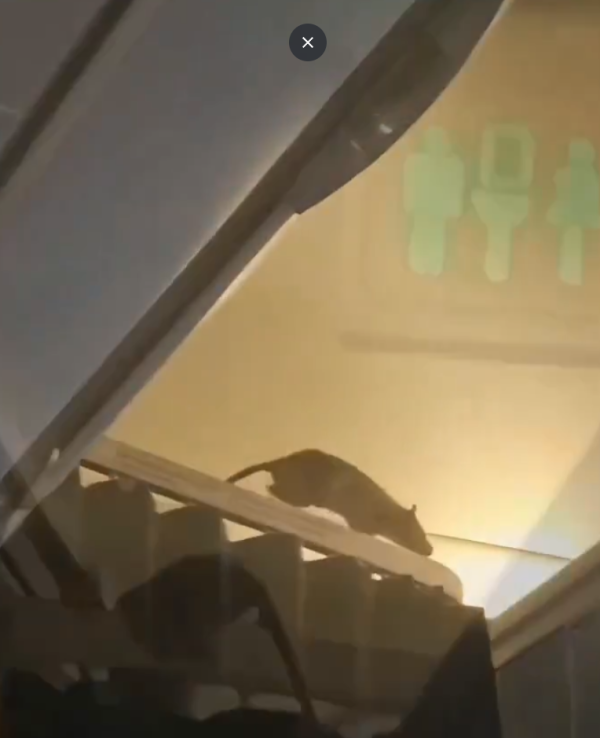 照片來源：X@Fahadnaimb