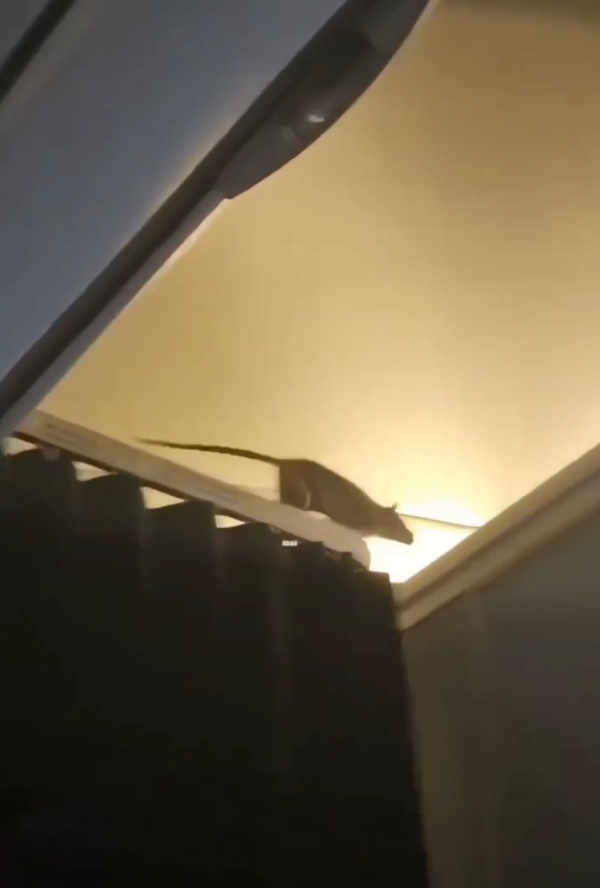 照片來源：X@Fahadnaimb