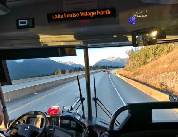 照片來源:小紅書@mimosamay 照片來源:小紅書@mimosamay