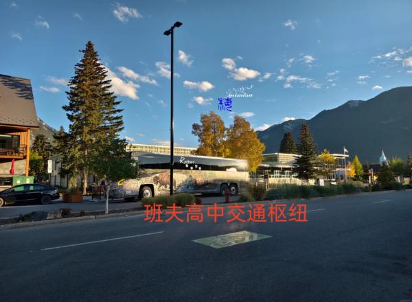 照片來源:小紅書@mimosamay 照片來源:小紅書@mimosamay