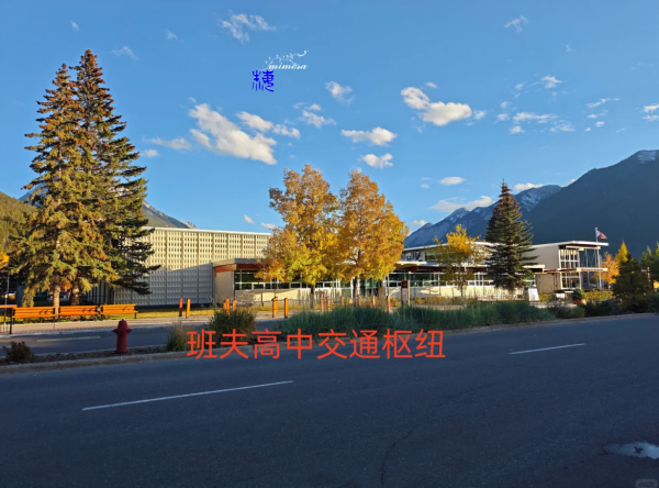 照片來源:小紅書@mimosamay 照片來源:小紅書@mimosamay