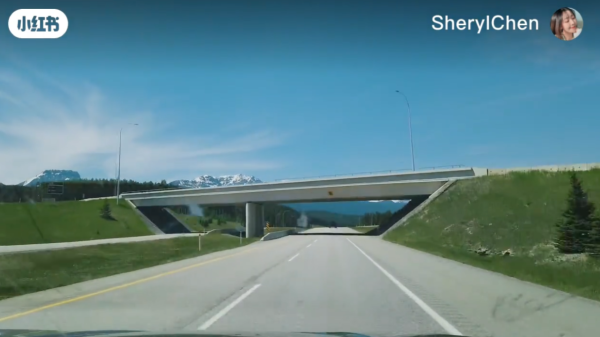 照片來源:小紅書@苏喂妈(冲1000粉) 照片來源:小紅書@苏喂妈(冲1000粉)