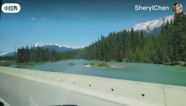 照片來源:小紅書@苏喂妈(冲1000粉) 照片來源:小紅書@苏喂妈(冲1000粉)