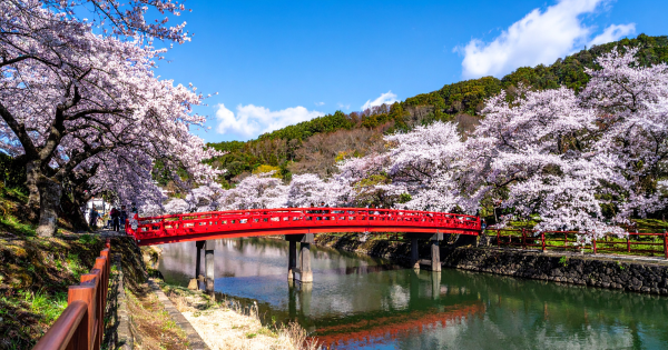 2026日本國定假日全攻略!白銀周5連休再現!教你避開3大地獄人潮