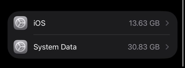 iPhone儲存空間不足?網民教關1功能即減82GB!旅行任影唔洗刪相