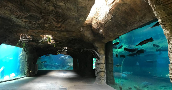 圖片來源：長隆國際旅遊有限公司