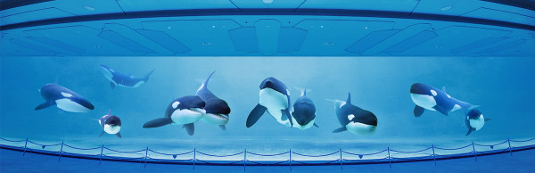 圖片來源：長隆國際旅遊有限公司