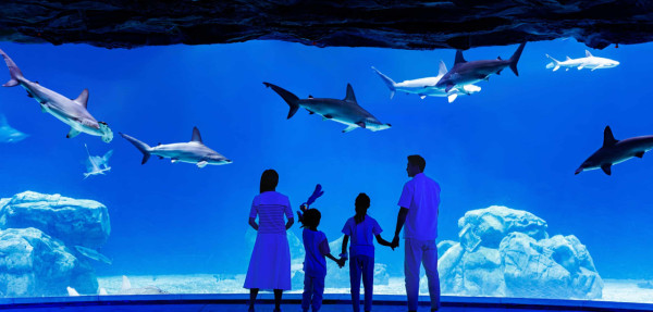 圖片來源：長隆國際旅遊有限公司