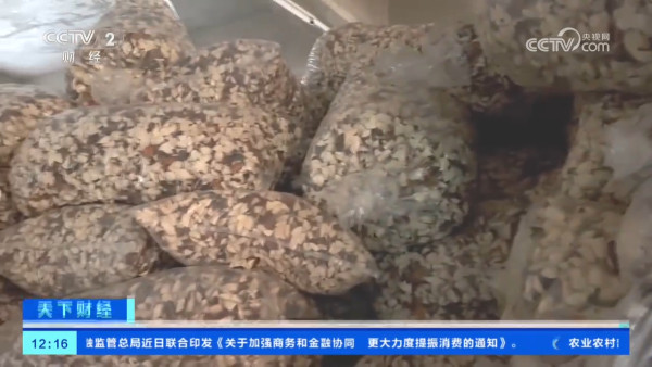 假陳皮黑幕曝光!平價柑皮加工製作一月即可賣貴20倍?直播主直認8成貨源來自廣西