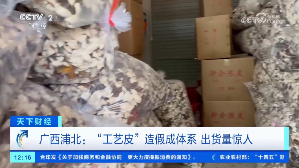 假陳皮黑幕曝光!平價柑皮加工製作一月即可賣貴20倍?直播主直認8成貨源來自廣西